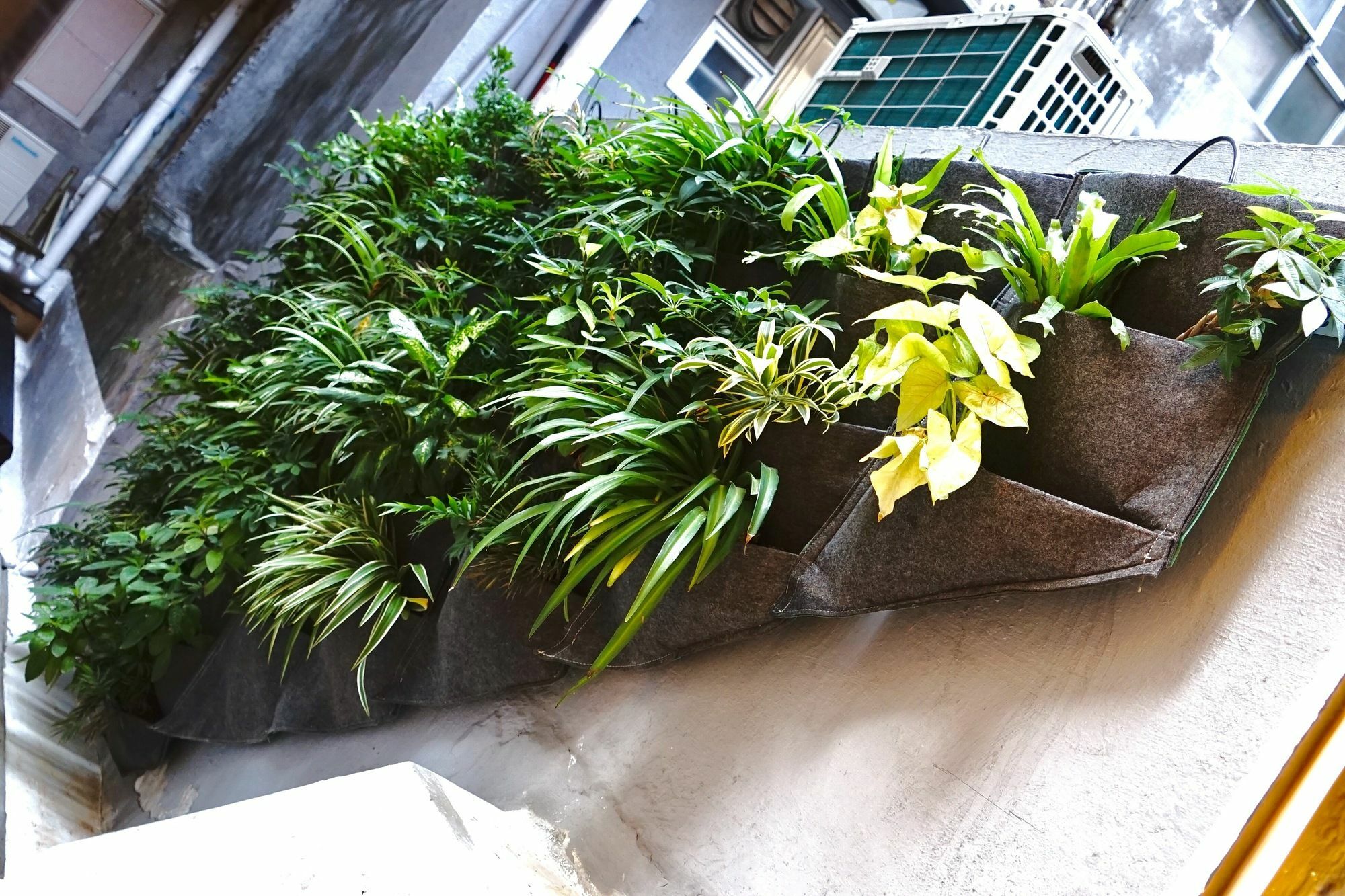 Hotel Sleeep Hkg Gough St Hongkong Exterior foto